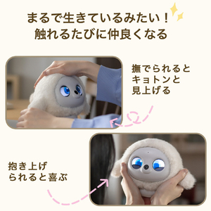 lopeto AI robot MY-RTPT01-イメージ6
