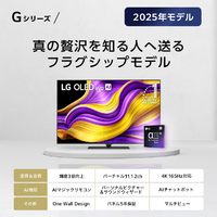LGエレクトロニクス OLED55G5PJB 有機ELテレビ OLED55G5PJB [55V