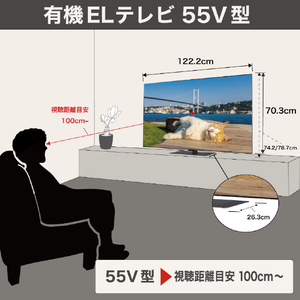 LGエレクトロニクス 有機ELテレビ OLED55G5PJB 55V型4Kチューナー内蔵有機ELテレビ OLED55G5PJB-イメージ4