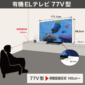 LGエレクトロニクス 77V型4Kチューナー内蔵有機ELテレビ OLED77C5PJA-イメージ4