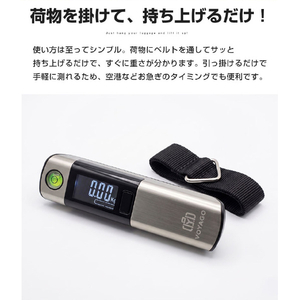 ロジック ラゲッジスケール LG-LGGSCALE-2-イメージ3