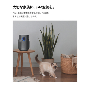 シャークニンジャ Shark BreatheClear 空気清浄機 ブラック HP062JBK-イメージ10