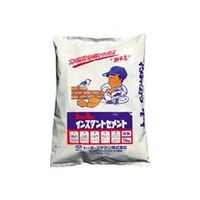トーヨーマテラン MATERAN　インスタントセメント　灰　10kg NO5162