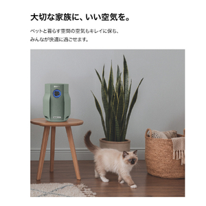 シャークニンジャ Shark BreatheClear 空気清浄機 グリーン HP062JGN-イメージ10
