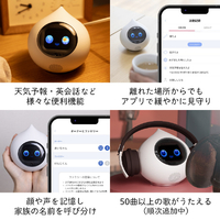 ミクシィ ROMI-L01W 会話AIロボット Romi Lacatanモデル ナチュラル