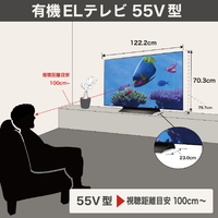 LGエレクトロニクス OLED55C5PJA 55V型4Kチューナー内蔵有機ELテレビ