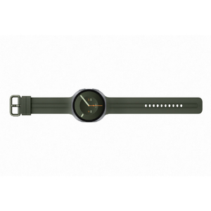 Samsung Samsung Galaxy Watch9 LTE 44mm Silver SM-L355FZSJSJP-イメージ6