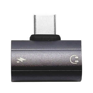 ラスタバナナ TYPE-C TO TYPE-Cイヤホン口+TYPE-C充電口 グレー RHECCC01GRY-イメージ1
