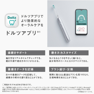 パナソニック W音波振動ハブラシ Doltz シルバー EW-DT88-S-イメージ8