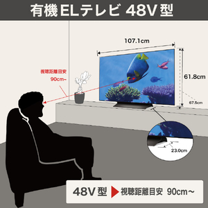LGエレクトロニクス 48V型4Kチューナー内蔵有機ELテレビ OLED48C5PJA-イメージ4