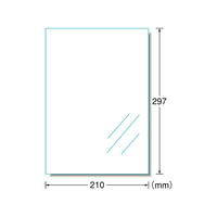 エーワン ピッタリ貼れるのびるラベル A4 透明フィルム 3枚 F877213-29295
