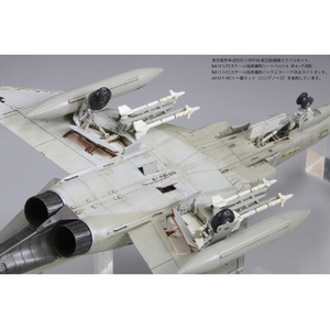 ファインモールド 1/72スケール ドイツ空軍 F-4F 戦闘機 JG71 “リヒトホーフェン” FX06 FX06ﾄﾞｲﾂF4Fｾﾝﾄｳｷﾘﾋﾄﾎ-ﾌｴﾝ-イメージ9