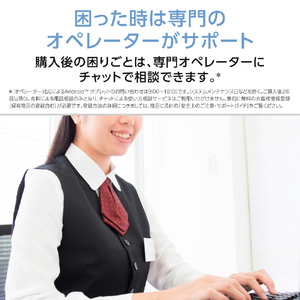 NEC 11型Androidタブレット LAVIE Tab T11N ルナグレー PC-T1175MAS-イメージ13