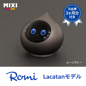 MIXI 月会費3カ月付きRomi Lacatanモデル ムーングレー RLM2MG-イメージ14