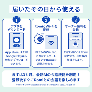 MIXI 月会費3カ月付きRomi Lacatanモデル ムーングレー RLM2MG-イメージ15