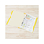 プラス 年組氏名スクールフラットファイル A4タテ イエロー 10冊 FCA6365-79-347 NO021SGA-イメージ5