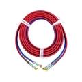 BBK/G型ホース ネジ式 10m C21 FC785XU-1597762