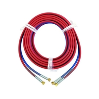 BBK/G型ホース ネジ式 10m C21 FC785XU-1597762