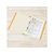 プラス 年組氏名スクールフラットファイル A4タテ オレンジ 10冊 FCA6366-79-348 NO021SGA-イメージ5