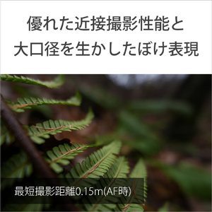 SONY デジタル一眼カメラα[Eマウント]用レンズ Gレンズ FE 16mm F1.8 G SEL16F18G-イメージ5