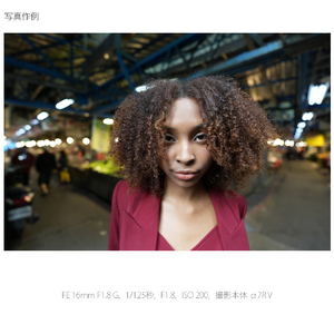 SONY デジタル一眼カメラα[Eマウント]用レンズ Gレンズ FE 16mm F1.8 G SEL16F18G-イメージ8