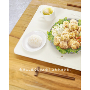 ロイヤル フードウォーマーSFW-2 IVORY SFW-2CREAM75162010-イメージ10
