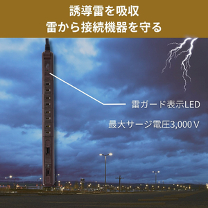 エルパ スリム回転USBタップ 4個口2ポート PD対応 2m 木目調 WB-RSL4222SUCWD-イメージ5