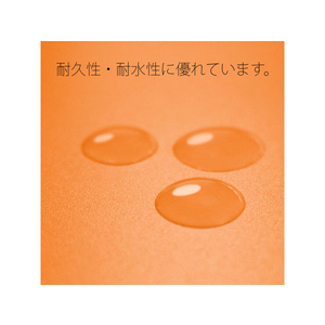 プラス 年組氏名PPフラットファイル A4タテ オレンジ 10冊 FCA6368-79-490 NO121PGA-イメージ8