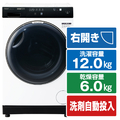 AQUA 【右開き】12．0kgドラム式洗濯乾燥機 まっ直ぐドラム 2.0 ホワイト AQW-DX12P-R(W)