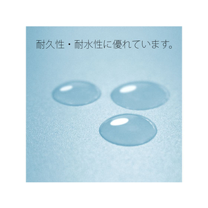 プラス 年組氏名PPフラットファイル A4タテ ロイヤルブルー 10冊 FCA6369-79-491 NO121PGA-イメージ8