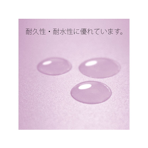 プラス 年組氏名PPフラットファイル A4タテ バイオレット 10冊 FCA6370-79-492 NO121PGA-イメージ8