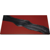 江部松商事 EBM/漆黒刷毛目 朱 長角トレー 黒漆流水 500×250×12mm FC926LB-1025970