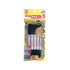寺西化学工業 ギター みんなのなまえペン 5本入 FCF606V-GRN-T1-5P-イメージ1