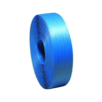 大日製罐 引締用PPバンド 19mm 青 FC655GV-4493940