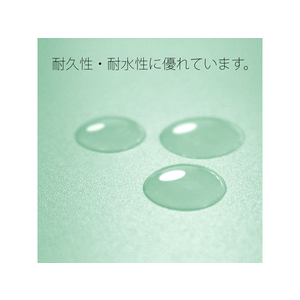 プラス 年組氏名PPフラットファイル A4タテ ブルー 10冊 FCA6371-79-495 NO121PGA-イメージ8