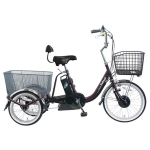 PELTECH 電動アシスト三輪車 前輪20型/後輪16型 レッド TDR-163L-R-8AH-イメージ1