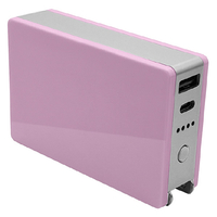 ラスタバナナ Type-C1ポート/USB1ポート AC付リチウム充電器 5000mAh 3A ライトパープル RLI050AC3A01LPU