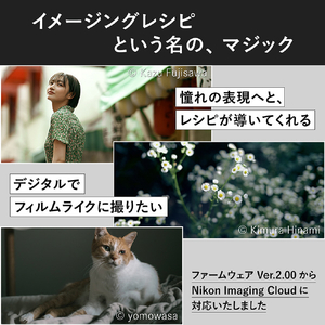 ニコン Zf 40mm f/2(SE)レンズキット Z シルバー ZFLK40SESL-イメージ12