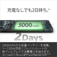 SONY XQ-EC44 R2JPCX0 SIMフリースマートフォン Xperia 1 VI SONY XQ-EC44 R2JPCX0 SIMフリースマートフォン Xperia 1 VI