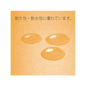 プラス 年組氏名PPフラットファイル A4タテ イエロー 10冊 FCA6373-79-497 NO121PGA-イメージ8