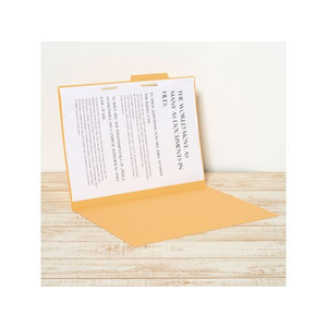 プラス 個別フォルダー A3ヨコ イエロー FL-069IF 10枚 FCT6440-87-427FL-069IF-イメージ5