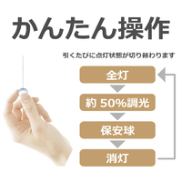 タキズミ TRV12544 LEDペンダントライト オリジナル |エディオン公式通販