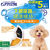 ジェックス ピュアクリスタル 軟水化フィルター 半円 犬用 5個入 FCJ904J-イメージ2