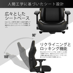 Andaseat ゲーミングチェア Kaiser 3 エレガントブラック(DuraXtraレザー) AD12YDC-L-01-B-PV/C-イメージ14