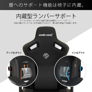 Andaseat ゲーミングチェア Kaiser 3 エレガントブラック(DuraXtraレザー) AD12YDC-L-01-B-PV/C-イメージ16