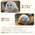 lopeto AI robot チャージングベース付き MY-RTPT02-イメージ7