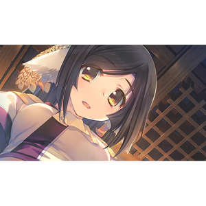 アクアプラス うたわれるもの 偽りの仮面【Switch】 HACPBLA9A-イメージ2