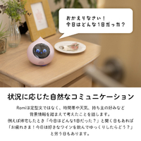 期間限定、お値下げ！ Romi ピンク 会話AIロボット「Romi」】新モデル「Romi（Lacatanモデル