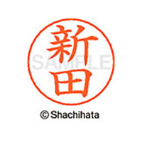 シヤチハタ ネームペン用ネーム シルバー 既製 新田 FC47347-X-GPS-1576