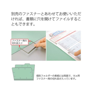 プラス 個別フォルダー A4ヨコ グリーン FL-001IF 10枚 FCT6444-87-834FL-001IF-イメージ6